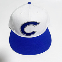 Topi Baseball Bordir Logo Huruf 3D Warna Putih Akrilik Kustom Grosir, Bahan Polyester/Katun, Snapback Sporty, Ukuran Dapat Disesuaikan