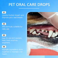 Semprotan Gigi Ramah Lingkungan untuk Hewan Peliharaan dengan Anti-Gingivitis & Rasa Alami untuk Anjing dan Kucing