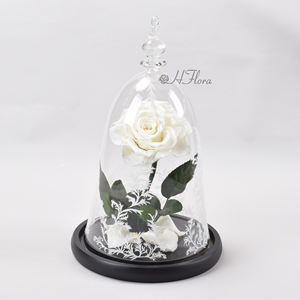 कांच के गुंबद में संरक्षित होमोरा गर्म बिक्री के लिए एक ग्रेड वास्तविक स्पर्श गुलाब वेलेंटाइन के दिन लड़की दोस्त के लिए कभी नहीं गुलाब - Product Image 2