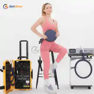 Professional Physical Therapy Rehabilitation Magnetic Pmst Loop Pemf Pain Relief Machine PEMF Mat