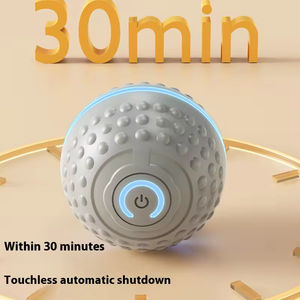 Modern Akıllı Otomatik Egzersiz Elektrikli Zıplayan Köpek Oyuncak Topu Diş Temizleyici Şarj Edilebilir Silikon Evcil Hayvan Topu - Product Image 3