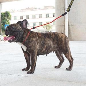 Laisse d'entraînement pour chien en nylon, monobloc, réglable, anti-explosion, pour chiens de taille moyenne à grande, design en chaîne P - Product Image 2