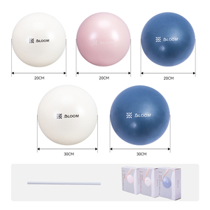 <span class=keywords><strong>Pelota</strong></span> <span class=keywords><strong>de</strong></span> <span class=keywords><strong>Yoga</strong></span> Personalizada <span class=keywords><strong>de</strong></span> 20/30 cm para Ejercicio, Mini Balón Pequeño <span class=keywords><strong>de</strong></span> Pilates <span class=keywords><strong>de</strong></span> PVC para Gimnasio y Fitness, <span class=keywords><strong>Pelota</strong></span> <span class=keywords><strong>de</strong></span> Estabilidad con Logotipo - Product Image 3