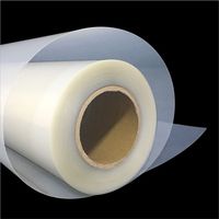 Matériau PET translucide laiteux imperméable de 130 microns pour la fabrication de plaques d'impression jet d'encre