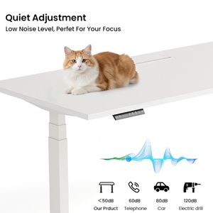 Modern Furniture Office Electric <b>Computer</b> <b>Desk</b> Dual Motor Height Adjustable Standing <b>Desk</b> Ergonomic Sit Stand <b>Desk</b> Frame - Product Image 6