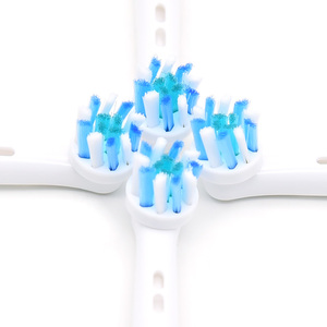 <span class=keywords><strong>Cepillo</strong></span> de Dientes de Cerdas Suaves con Cabezal Intercambiable, Cabezal Pequeño EB52-X, Precio de Fábrica Económico - Product Image 3