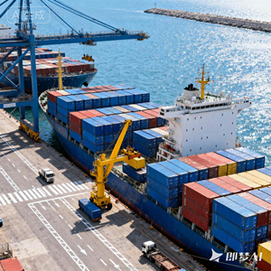 Il Servizio di Trasporto Marittimo Porta a Porta più Conveniente dalla Cina DDP DAP verso gli Stati Uniti LA LB OAK NYK HOU NOL CHI DET Ecc. - Product Image 4