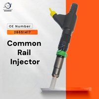 Inyector de Combustible de Alta Calidad para Motores Diésel, Piezas 28651415 28651417