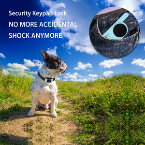 Produits pour animaux de compagnie choc statique télécommande électrique <span class=keywords><strong>chien</strong></span> formation E <span class=keywords><strong>collier</strong></span> - Product Image 4