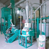 Usine de minoterie de maïs/maïs de rendement élevé pour la ligne d'usine à petite échelle de 5-30 tonnes/jour