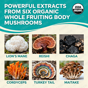 OEM nấm phức tạp bột Bộ nhớ nootropics não hỗ trợ <span class=keywords><strong>Ayurveda</strong></span> freshcap12000mg Hữu Cơ nấm pha trộn bột chiết xuất - Product Image 3