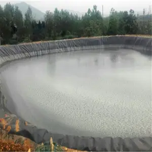 0.5mm 0.75mm HDPE Geomembrane Sheet 1.0mm Reservoir Dam Liner Waterproofing Fish Pond Liner