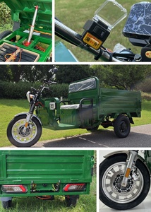 Tricycles à 3 roues 2000W 3000W, trikes hydrauliques automatiques, véhicule à énergie nouvelle pour usage agricole, entrepôt Europe, EEC/COC, 2000W 30 - Product Image 4