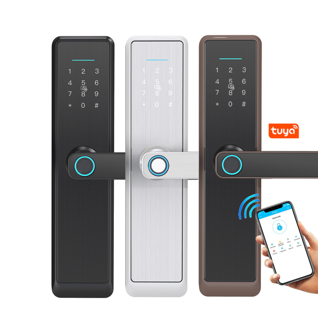 Biometric Fingerprint Smart Digital Anti Theft Mobile Control Tuya Wifi TTlock App Keyless Intelligent Door Lock