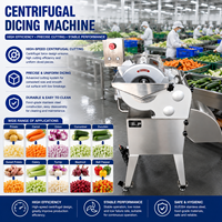 Industriële automatische groenteblokjesmachine voor het verwerken van aardappel, wortel, ui, zoete aardappel en pompoen