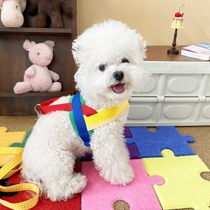 Arnés y Correa para Mascotas con Bloques de Color, Ajustable para Perros Pequeños, Chaleco para Pasear - Product Image 3