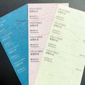 Auf Lager Morandi Farbe Klassisches Design Luxus Rough Long Plant Seiden faser Oberfläche Verpackungs papier für Geschenk beutel Box Tap Card