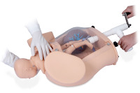 Simulador de Parto con Feto y Placenta, Palpación Abdominal y Mecanismo de Parto Integrado, Modelo con Parto Rotatorio KSM-96
