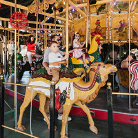 Aire de jeux extérieure de Noël Carrousel Jeux en fibre de verre Cheval grandeur nature Antique Carrousel à jetons Ride