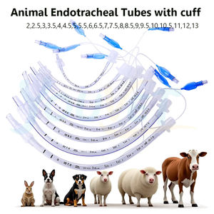 Tube endotrachéal avec cathéter d'aspiration-Instruments chirurgicaux vétérinaires pour chiens - Product Image 3