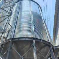 Silos di stoccaggio Silo di farina in polvere Silo di mais a prezzo di fabbrica