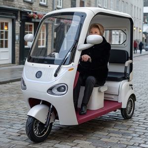 Электрический трицикл Holladay 650W, 3-местный, с открытым кузовом, большой вместимости, для использования на улице, 3-колесный скутер, городской электровелосипед для взрослых на каждый день - Product Image 1