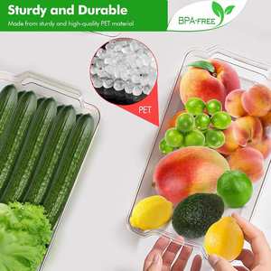 <b>Clear</b> Rectangle <b>Plastic</b> PET Eco-Friendly Injection Food Storage <b>Containers</b> 1-3L Capacity Freshness Preservation Refrigerator - Product Image 5