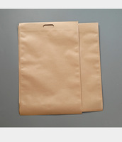Lot de 100 sacs en papier kraft marron personnalisables avec logo, pour emballage de vêtements, avec poignée et trou, auto-adhésifs