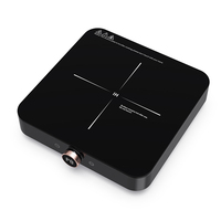 Meilleure cuisinière à induction électrique 2000W table de cuisson à induction invisible cuisinière à induction électrique