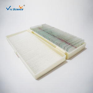 Diapositivas parasitológicas médicas de 42 Piezas Variedad de diferentes parásitos preparados para investigación y estudio - Product Image 6