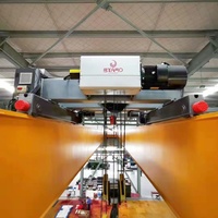 Palans de levage à faible hauteur de 10 tonnes fournis par le fabricant, structure à économie d'énergie VFD, sûrs et fiables pour les charges lourdes, grue de chantier