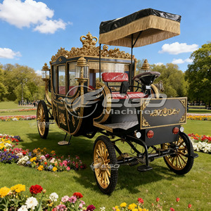 Carroza Eléctrica Retro de Acero 2025 con Ruedas de Fibra de Vidrio para Paseos Turísticos en Parques al Aire Libre y Bodas en Venta - Product Image 5