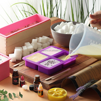 Kit de fabrication de savon AromaNano - Fournitures pour bougies DIY, base de savon, boîte de découpe, moules en silicone, pétales de rose, couleur et logo personnalisés