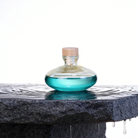 Bouteille diffuseur en verre vide rechargeable 120 ml personnalisable avec bouchon anti-fuite et emballage de voyage pour une utilisation portable