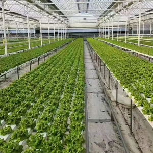 Производство и продажа пластиковых систем для беспочвенного выращивания растений методом гидропоники из ПВХ. - Product Image 1