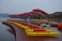 Équipement de jeux aquatiques Pontons de bicyclette d'eau douce Vélos à pédales de requin aquatique à vendre