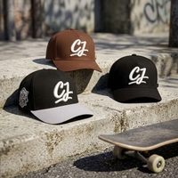 Casquette en coton bicolore noir et marron OEM ODM avec logo personnalisé brodé sur le côté, style skate street