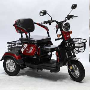 60v Three Wheel Tricycle <b>Passenger</b> Seat 3 Wheels Bicycle Adult Streetbikes Electric Cargo Bike Electric Scooter Motorcycle - Product Image 1
