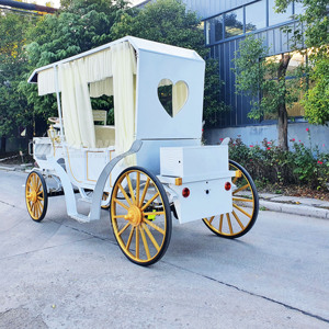 Customized Luxury Electric Sightseeing Multi Seats Optional Stable Driving Horseless Wagon for Sightseeing Tourism Business - Product Image 1