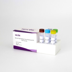 BVDV-2 Echtzeit-RT-PCR kit (50 Tests) Rinder-Virus-Erkennungs sonde SYBR Green Method - Product Image 4
