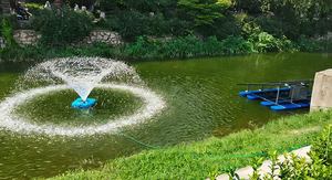 Aireador de Estanques y Ríos con Energía Solar - Sistema de Control Automático de 24V/36V/48V, Mejora de la Calidad del Agua y Estanques para Piscifactorías - Product Image 6