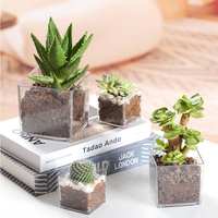 Mini vase carré transparent en plastique, centre de table, conteneur en acrylique, pot en vrac pour plantes succulentes, décoration florale pour mariage, maison, bureau