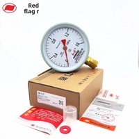 Standard Vacuum Pressure Gauge Y-100 0-1.6 MPa for Boiler Air Oil Water Pressure Zhejiang Hongqi