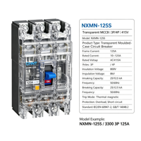 Disjoncteur magnétique transparent CHINT NXMN-250s 400A 3P 4P, disjoncteur à boîtier transparent MCCB 25kA/30kA/35kA certifié CE AC400V/690V