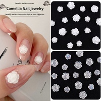 Décorations d'ongles transfrontalières les plus vendues : Camélia blanc, fleurs en résine AB transparente, roses colorées DIY, boîte de décorations