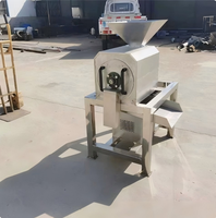 Industriële fruitontpitter en -pulper, commerciële grote machine voor het pellen en pulperen van mango, gember en jujube