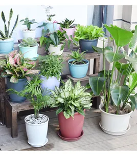 Nhà Máy Chuyên Nghiệp Sản Xuất XXL Kích Thước Tùy Chỉnh Màu Sắc Hoa Container Thực Vật Nhựa Flower Pot