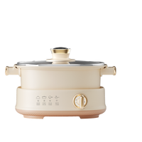 Nouveau produit marmite électrique multifonctionnelle steeleess appareils de cuisine