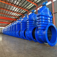 Vanne à opercule industrielle à tige montante, à siège métallique, à brides, grand diamètre DN1200 PN10, pour système d'alimentation en eau municipale