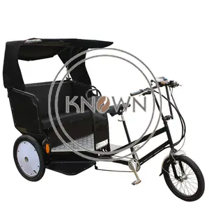 Оптовые продажи трехколесный велосипед рикша велосипед-2022 48 в 500 Вт педаль и Электрический рикша грузовой велосипед трехколесный электрический трехколесный велосипед для туризма пассажира педикюр Прямая поставка